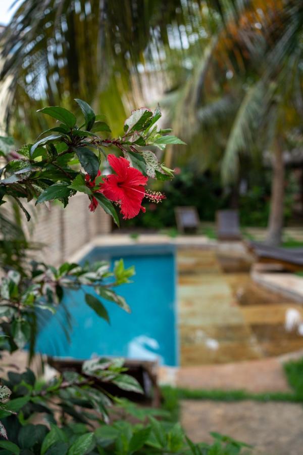 Casa Fufi Hotel Jijoca de Jericoacoara Luaran gambar
